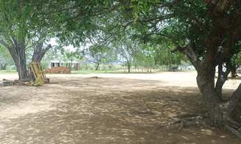 Imagem 4: Lindona, fazenda com 286t, casa sede curral completo, rio e pastagem pronta