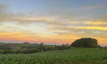 Imagem: Vendo chácara