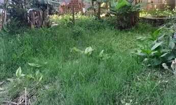 Imagem 3: AREA - JARDIM LAS VEGAS - SP