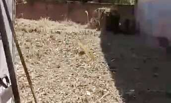 Imagem 2: Terreno à venda no trevo do Francês