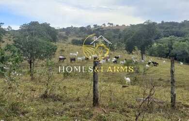 Imagem 2: Área Rural à Venda em Aragoiânia GO ? 4 a 7 Alqueires, Represa e Vista Privilegiada