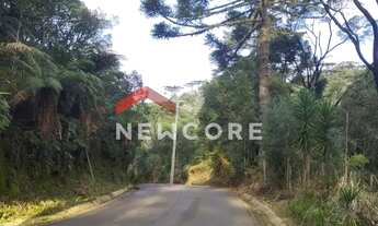 Imagem: Lote em Rua da Carapina - Vale do Carapina