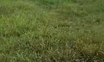 Imagem 4: Terreno plano Terreno / lote com venda por R$21.000