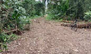 Imagem 6: Lote em Itamambuca - Rua 11 a 600m da orla em fase de licença ambiental