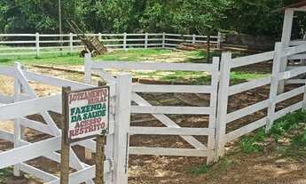 Imagem 7: Terreno Excelente de 65.000m² com Três Casas Lagoa e Riacho