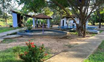 Imagem 4: Sítio à venda em Timon 4,5 hectares