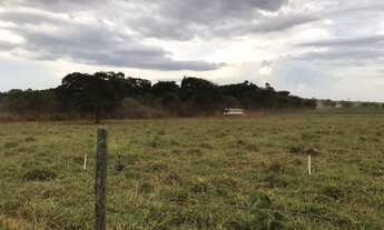 Imagem 2: CHÁCARAS PERTO DE BONFINÓPOLIS