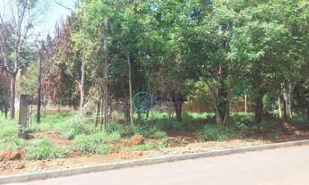 Imagem 12: Terreno à venda, 10250 m² por R$ 3.200.000,00 - Chácara São Pedro - Aparecida de Goiânia/G