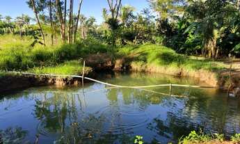 Imagem 5: Sítio à venda em Timon 4,5 hectares