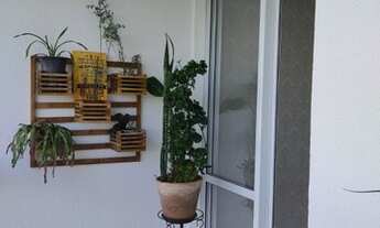 Imagem 4: FLORIANóPOLIS - Apartamento Padrão - Capoeiras