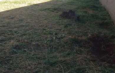 Imagem 2: Terreno 621 metros Portal de Ramos (Imperio do Sol