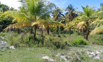 Imagem 2: Terreno\Área à venda, Zona Rural - Pirambu/SE