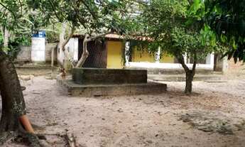 Imagem 7: Excelente terreno com 27 fruteiras mais casa