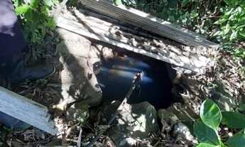 Imagem 5: Chácara para venda com 3 hectares em Rolante - RS