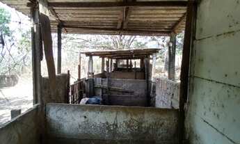 Imagem 7: OAlmeida, Chácara em Taboquinha, Escriturada, 599 mil