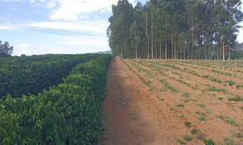 Imagem 7: Sitio em arcerburgo 3 alqueires 970.000.00 ( do