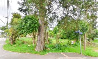 Imagem 3: Excelente terreno de esquina, residencial/comercial, com área total de 1.439,00 m² em Pir