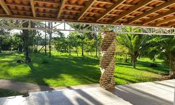 Imagem: Sítio à venda em Timon 4,5 hectares