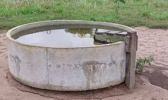 Imagem 6: Fazenda com 94 alqueires em Colmeia/TO