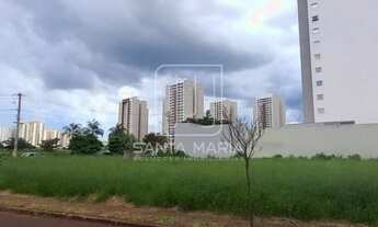 Imagem 3: Terreno (terreno normal