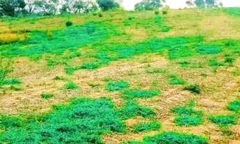 Imagem 3: 03a-HIRI20 Terreno / lote com venda por R$60.000