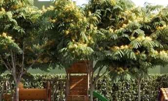 Imagem 5: Studio em obras Apartamento com 1 dormitório