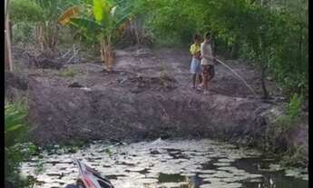 Imagem 2: Vendo chácara em lagarto