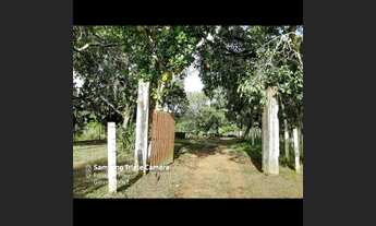 Imagem 5: Excelente sítio com 2 hectares a dois KM do centro do Cabo