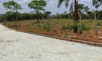 Imagem 5: Lote Mateus Leme