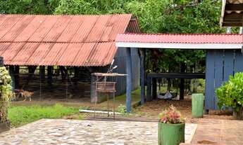 Imagem 3: Fazenda à 27km de Porto Velho - BR 319 - 773 hectares