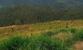 Imagem 4: Descubra o Paraíso: Terreno Top em Mairiporã! Visite já nosso Chácara Show!"