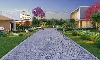 Imagem 5: Terreno para Venda - 0m², 0 dormitórios, Olaria