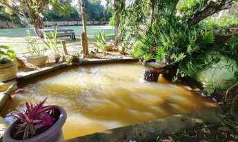 Imagem 7: Sítio dos Sonhos à Venda - 2,7HA de Pura Beleza Natural! ?