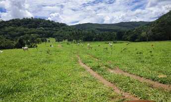 Imagem: Fazenda 80 alq. Em trindade 300 mil.p/ alq
