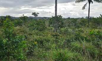 Imagem 7: Vendo excelente lote em Nazaré das farinha