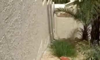 Imagem 3: Lote com barracão Bairro Rosarinha