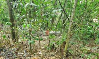 Imagem 5: Terreno à venda, 7963 m² por R$ 1.990.000,00 - Itaipu - Niterói/RJ