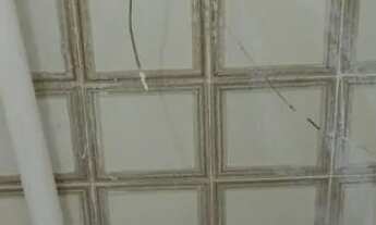 Imagem 14: Aluguel - Ap. - 2/4 c/ dep. - Vila-Laura