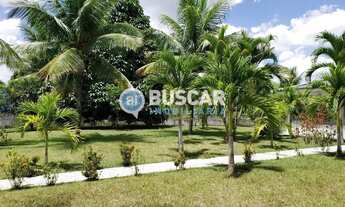 Imagem 6: Sítio à venda, 21780 m², Br-324 - Amélia Rodrigues/BA