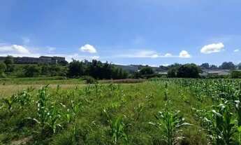 Imagem 2: AREA - JARDIM MARAGOJIPE - SP