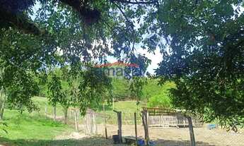 Imagem 3: Área para venda