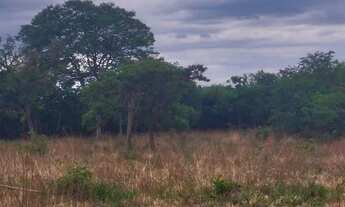 Imagem 6: 2 alqueires de terra