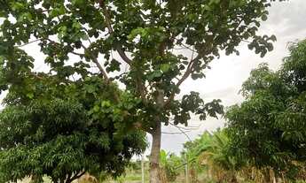 Imagem 4: Chácara ! Aceito imóveis