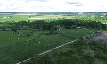 Imagem 2: FAZENDA DUPLA APTIDÃO 490 HA