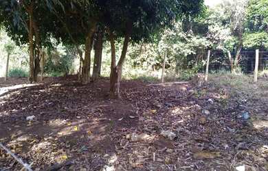 Imagem 4: Lote / terreno com 770 m² à venda no Lameirão - Guarapari ES