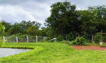 Imagem 6: Chácara bem localizada