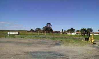 Imagem 5: Terrenos para locação na Roseira - São José dos Pinhais