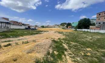 Imagem 5: Terreno comercial 13.000m² totalmente Plano