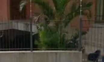 Imagem 3: Casa à venda no Jardim Atlântico Florianópolis