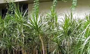 Imagem 5: APARTAMENTO EM BOTAFOGO / 83 M2 / 2 QUARTOS (SUITE) / VARANDÃO / GARAGEM / DEPENDÊNCIA / P